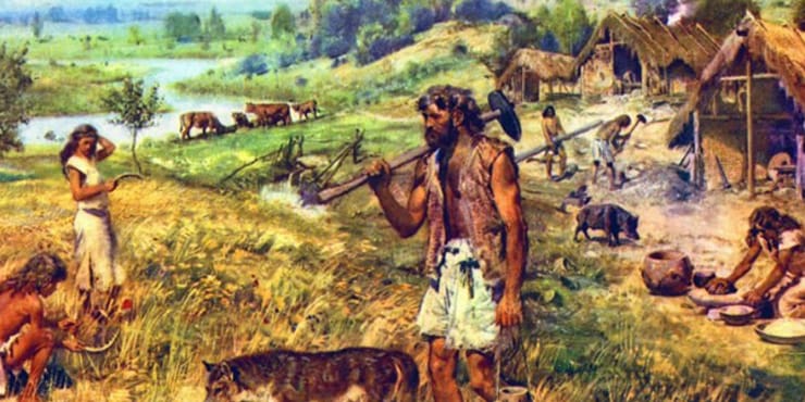 gida-sanayi-galerisi-13